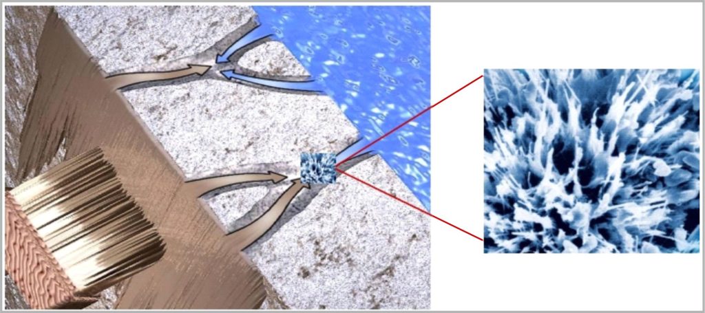 پوشش نفوذگر کریستال شونده BR-WNP