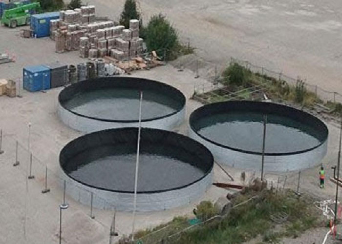 ژل میکروسیلیس BR-GC10